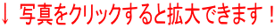 ↓ 写真をクリックすると拡大できます！